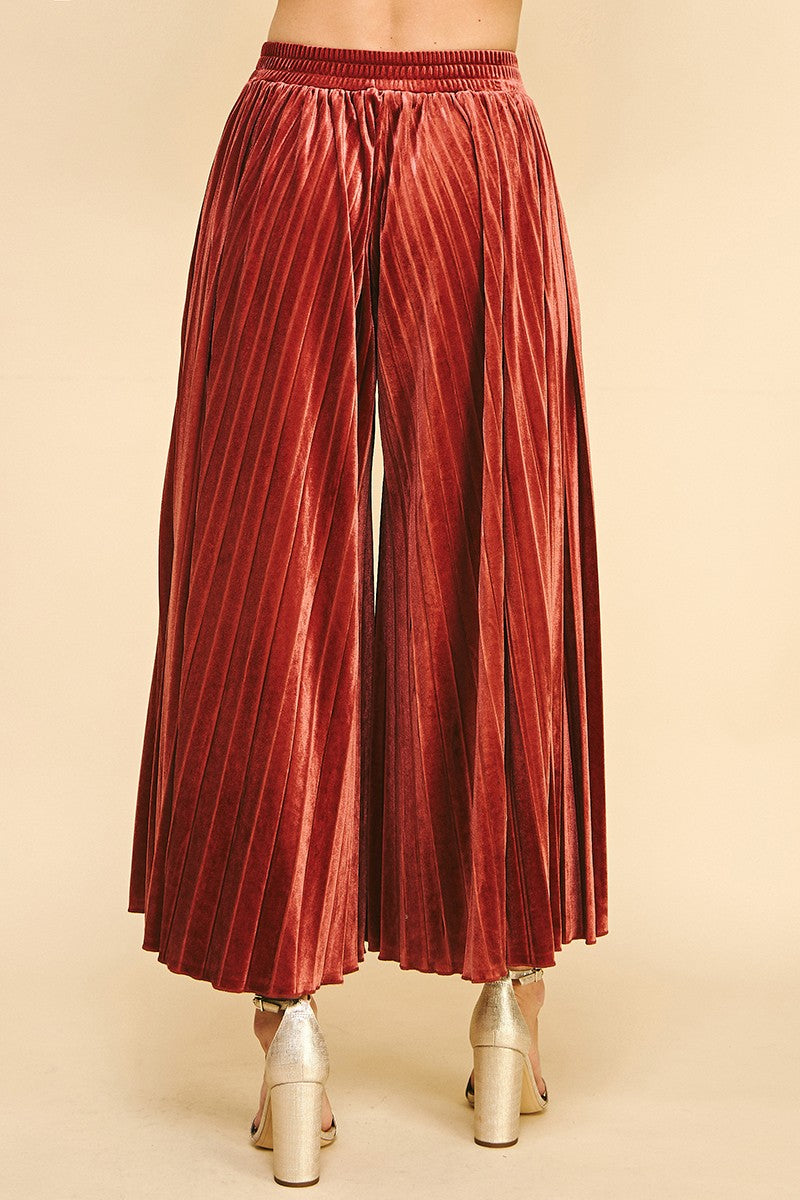 Pinch Velvet Pleated Pants