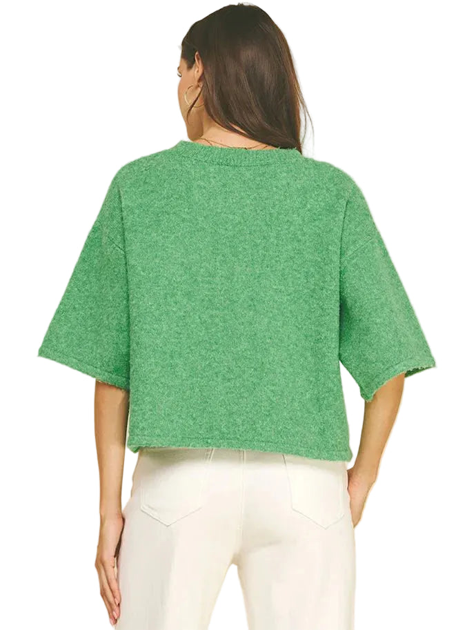 Pinch Button Down Short Sleeve Sweater