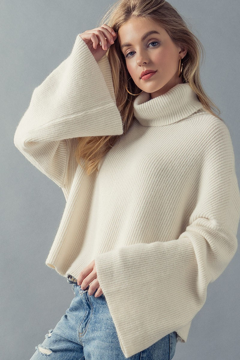Turtleneck Crop Sweater