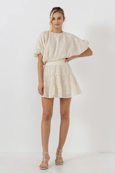 Embroidered Sequins Skirt