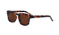 Blair 2.0 I-SEA Sunglasses